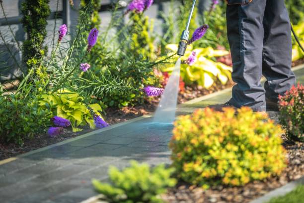 Best Sidewalk and Walkway Pressure Cleaning in Heidelberg, PA